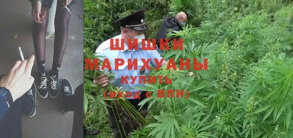 трава Армянск