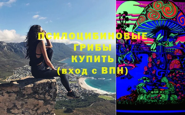 дурь Аркадак